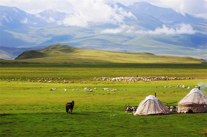 镜头丨处暑微风阵阵凉