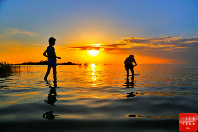 镜头 | 难忘一夏