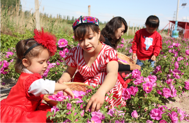 镜头 | 暑期乐淘淘