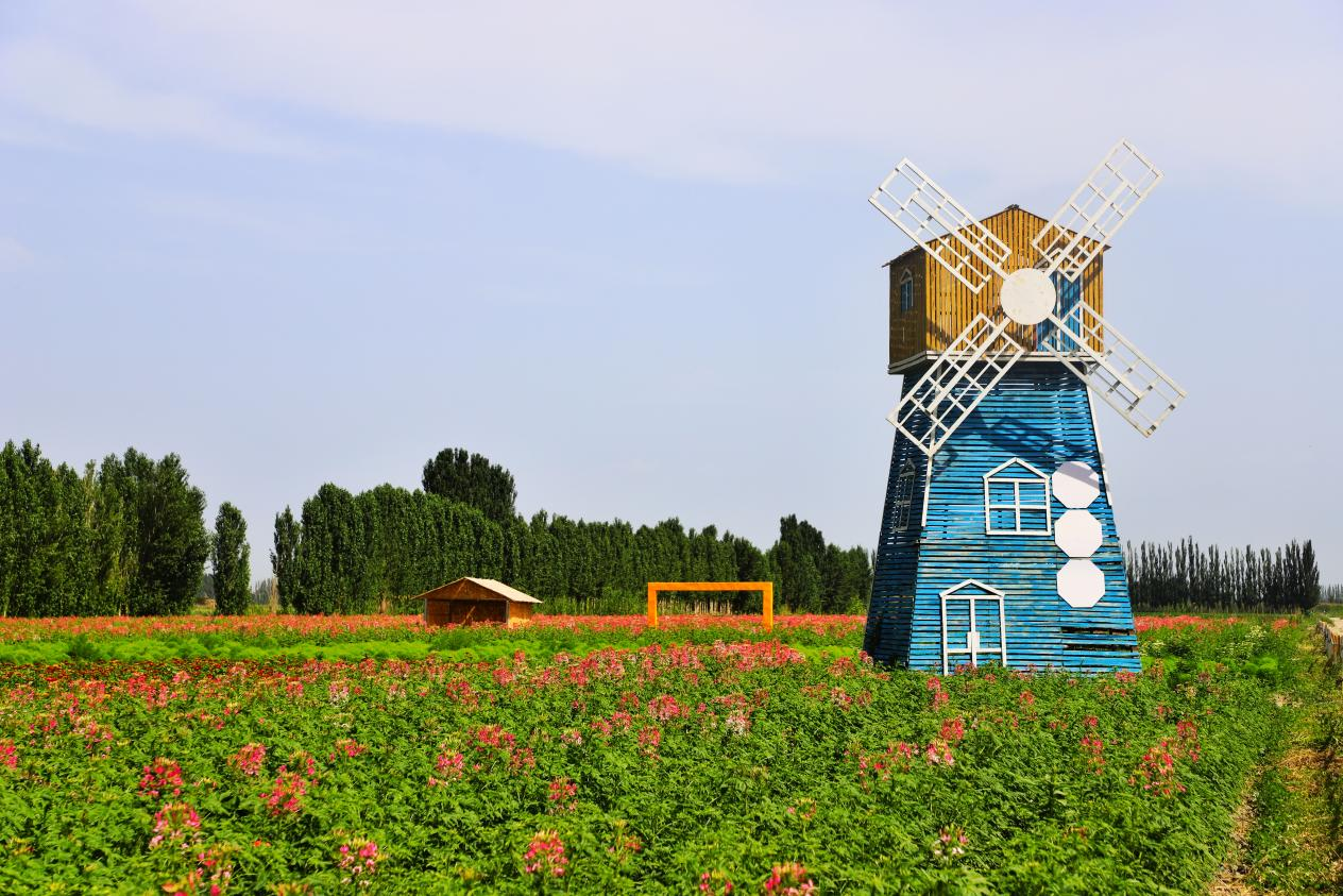 1.花海美如画，莫负好时光。博湖县乌兰再格森乡的千亩鲜花在阳光的爱抚下，一朵朵、一簇簇的百日草、波斯菊、紫松果菊等竞相绽放，蓝天、白云、花海与“大风车”交相呼应，五彩烂漫醉人心，吸引众多游客踏青赏花。（博湖县纪委监委 赵洁 摄）.png