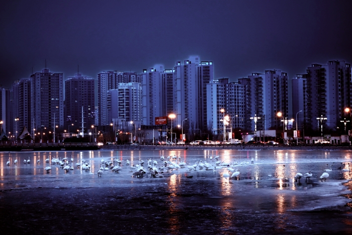 库尔勒市_副本.jpg