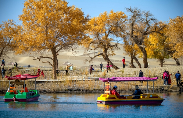 镜头丨大美十月