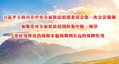 习近平：加强党对全面依法治国的集中统一领导