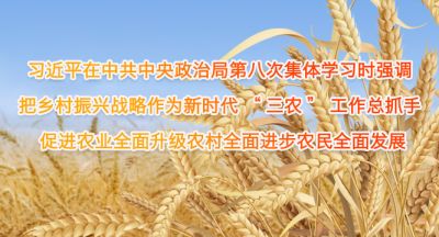 习近平在中共中央政治局第八次集体学习时强调 把乡村振兴战略作为新时代“三农”工作总抓手 促进农业全面升