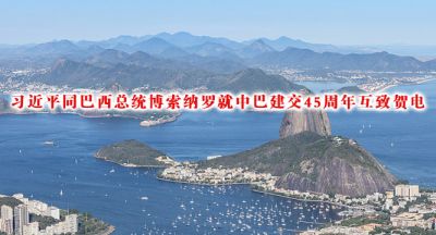 习近平同巴西总统博索纳罗就中巴建交45周年互致贺电