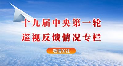 十九届中央第一轮巡视已公布14个省区巡视反馈情况