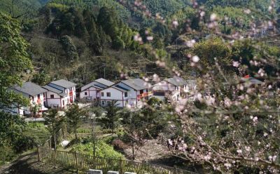 沿着总书记的足迹|红土地上的新崛起